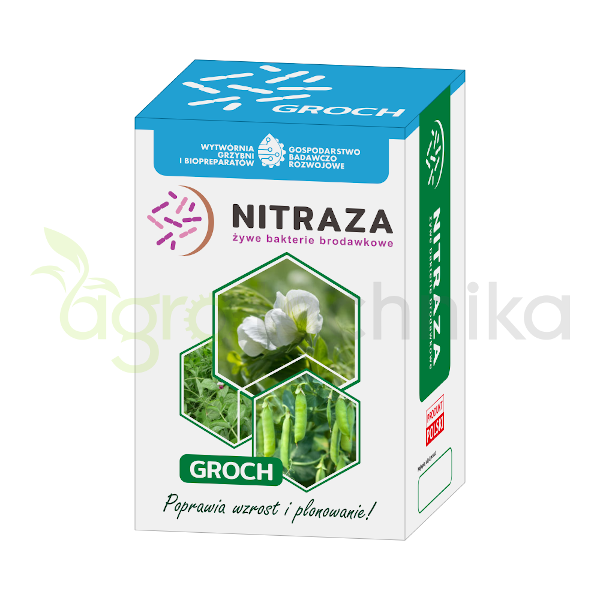 nitraza-groch-nitragina-bakterie